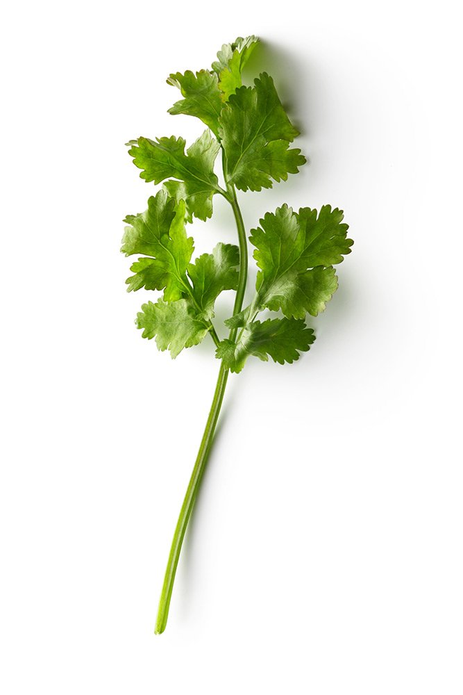 psp-herbs