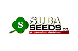 suba-seeds